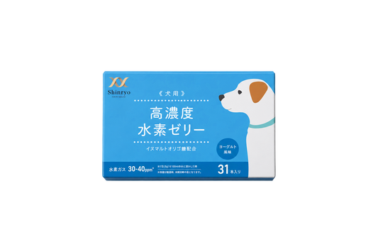 犬用高濃度水素ゼリー31本入りの青い外箱。イズマルトオリゴ糖配合のヨーグルト風味です。